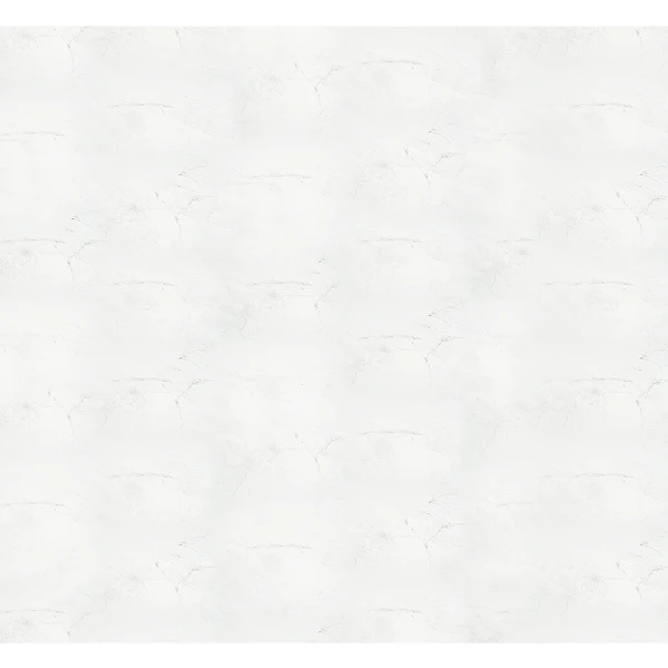 2800 x 1220 mm