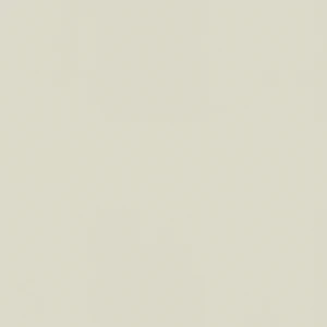 Laminated chipboard - Masal - BS (Shagreen) - Thickness (mm) 18 - Size (mm) 2800 x 2070