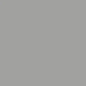 Laminated chipboard - Dark Grey - P3 (Shagreen) - Thickness (mm) 18 - Size (mm) 2800 x 2070