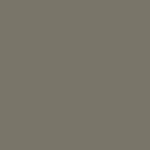 Laminated chipboard - Latte - BS (Shagreen) - Thickness (mm) 18 - Size (mm) 2800 x 2070
