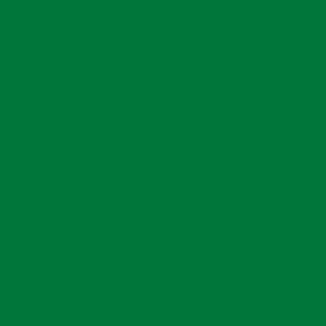 Laminated chipboard - Oxide green - BS (Shagreen) - Thickness (mm) 18 - Size (mm) 2800 x 2070