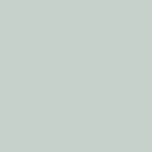 Laminated chipboard - Pastel Green - SU (Super matte) - Thickness (mm) 18 - Size (mm) 2800 x 2070