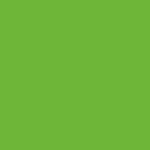Laminated chipboard - Green Mamba - BS (Shagreen)